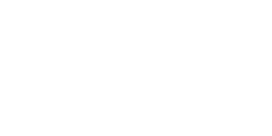 DS_logo